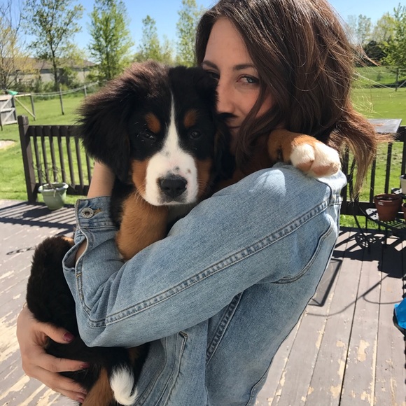 Meet your Posher, Nicole - Picture 4 of 6